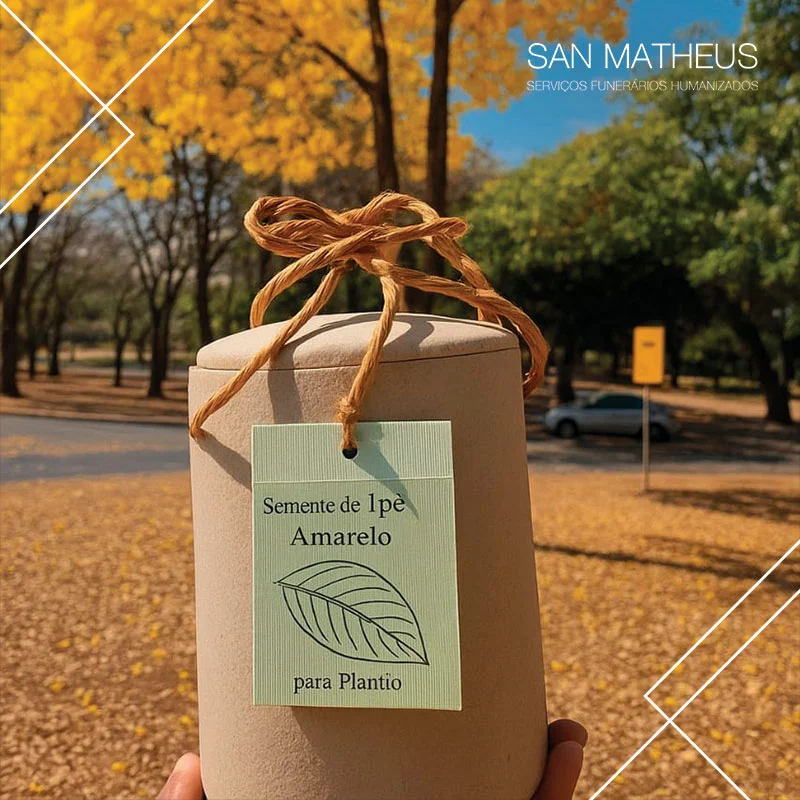 Crematório e assistências funerárias