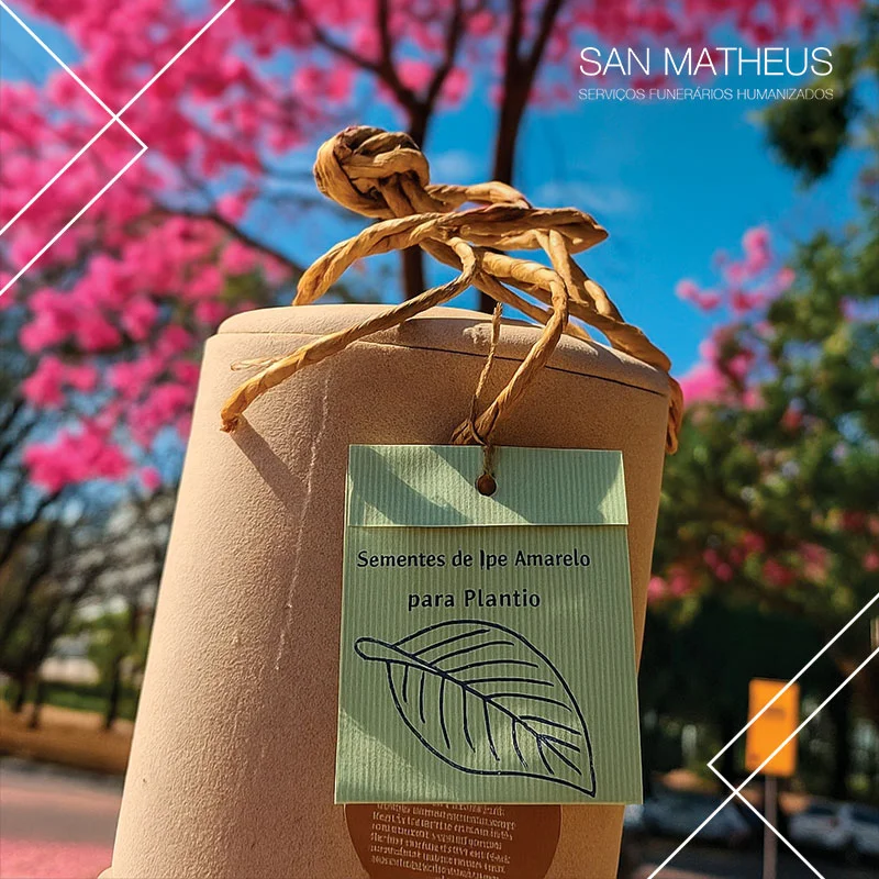 Serviços de crematório no Distrito Federal